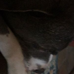 Meet your Posher, Ken